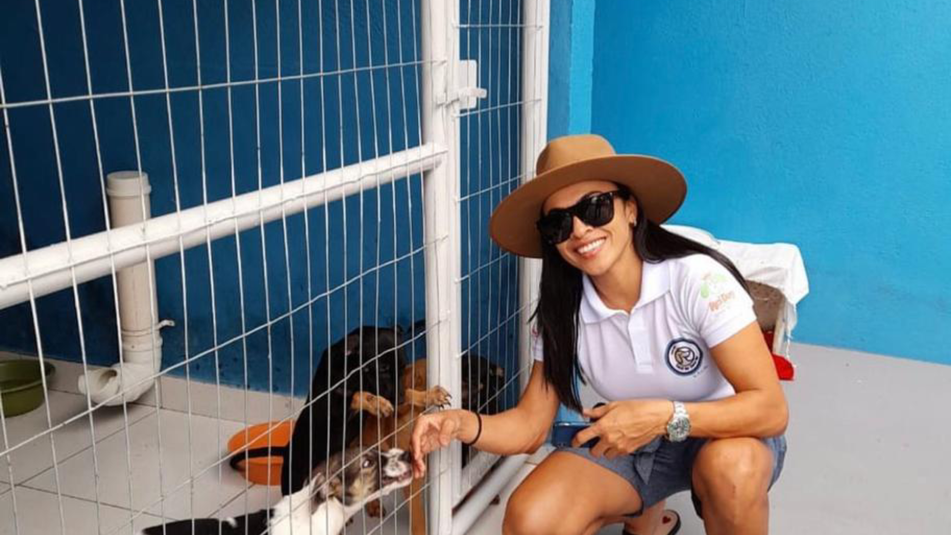 ONG Canil e Gatil Lar doce Lar era sonho antigo de Marta