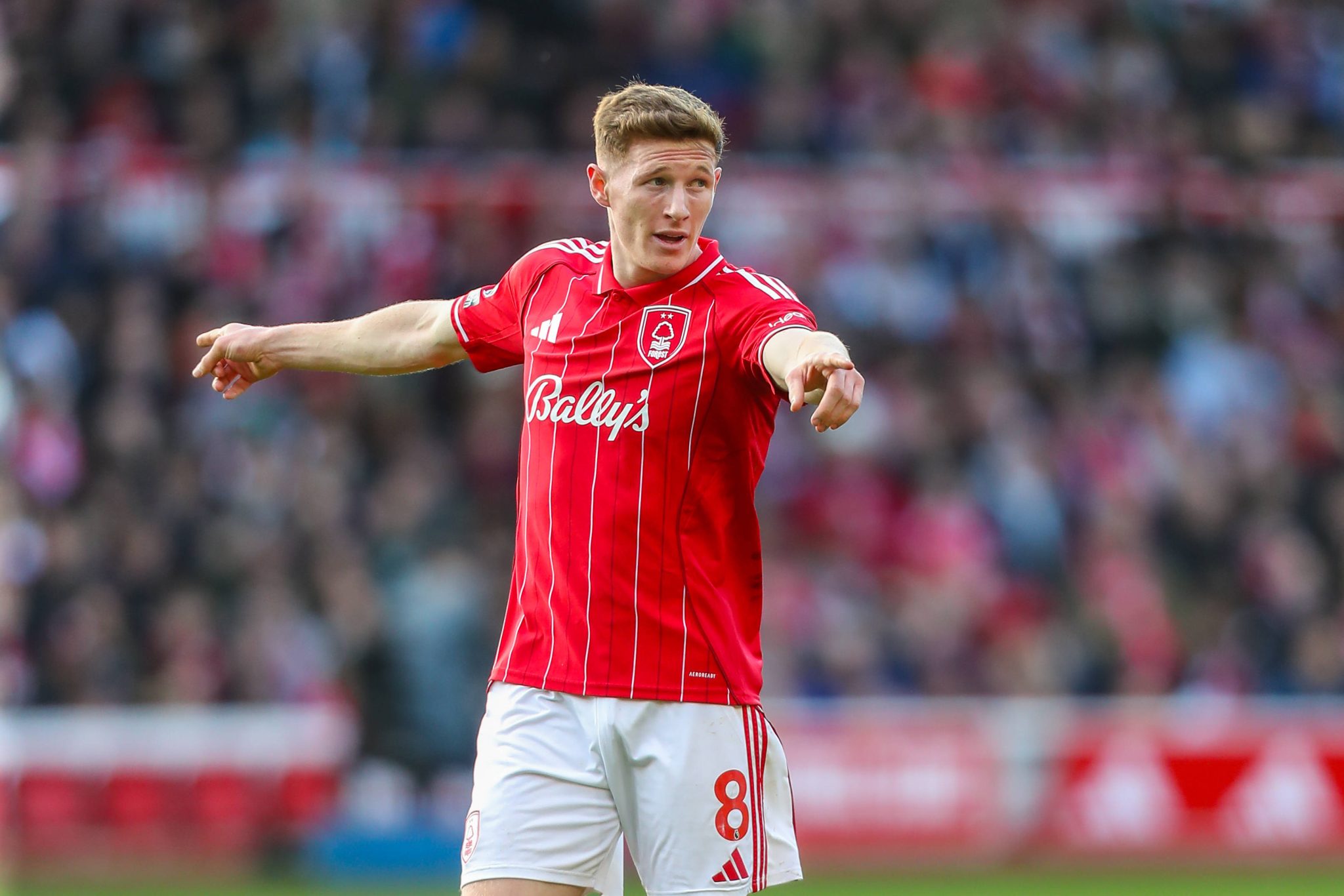 Elliot Anderson traz equil&iacute;brio ao Forest (Foto: Imago)