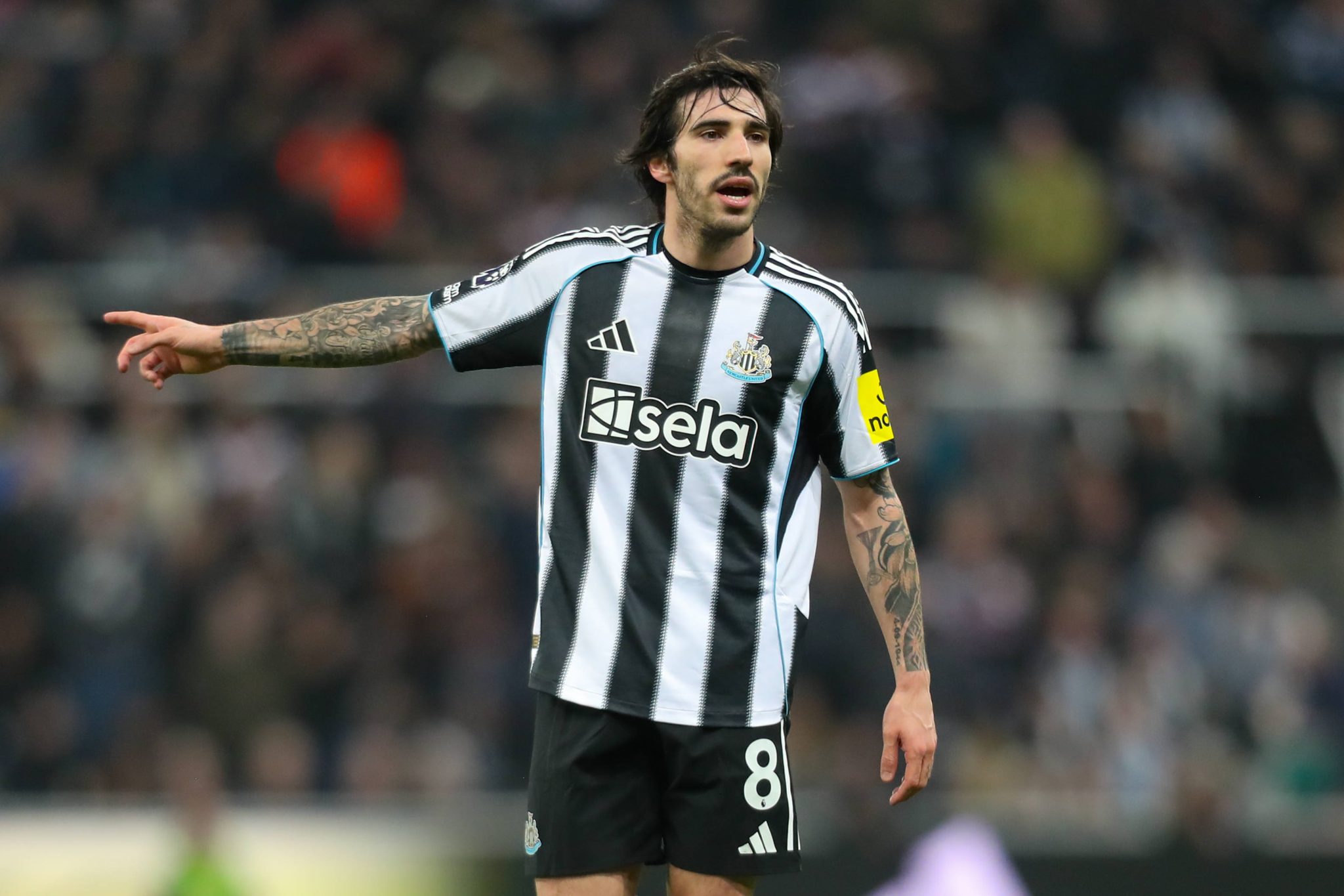 Sandro Tonali em jogo do Newcastle