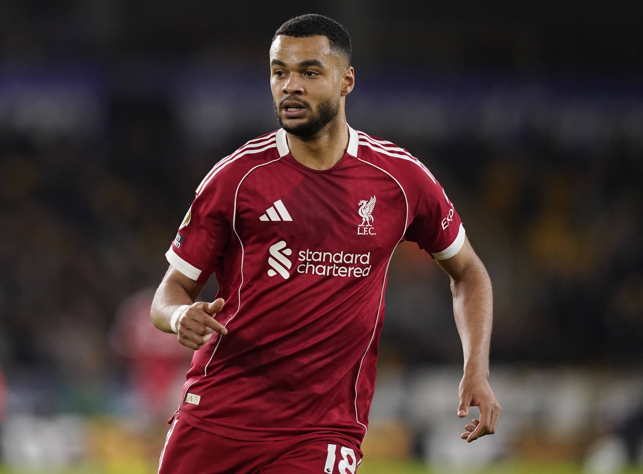 Cody Gakpo em atua&ccedil;&atilde;o pelo Liverpool (Foto: Imago)